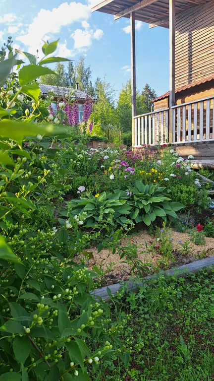 Коттедж Эко-домик для двоих — Сясьстрой