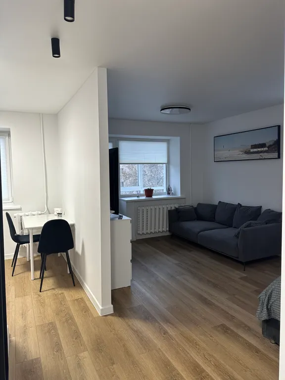 Уютная однокомнатная квартира