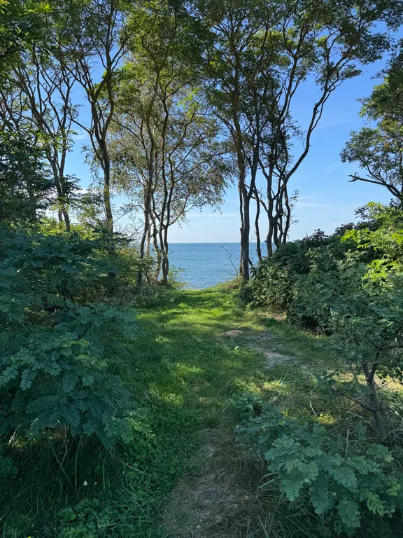 Квартира в ЖК Пионерская лагуна