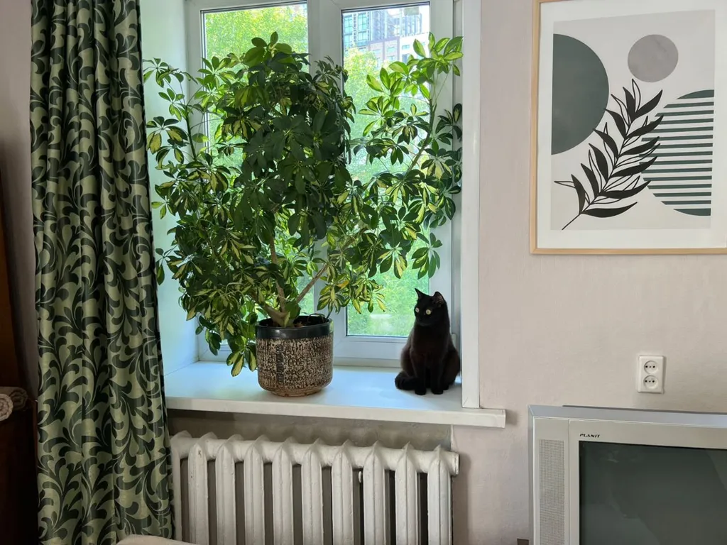 Теплая квартира эконом класса в укромном месте близко от центра