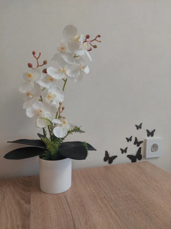 Квартира возле жд вокзала