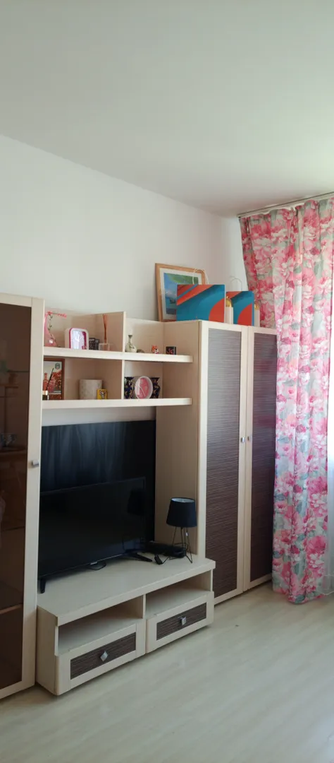 Шкаф для вещей, телевизор.