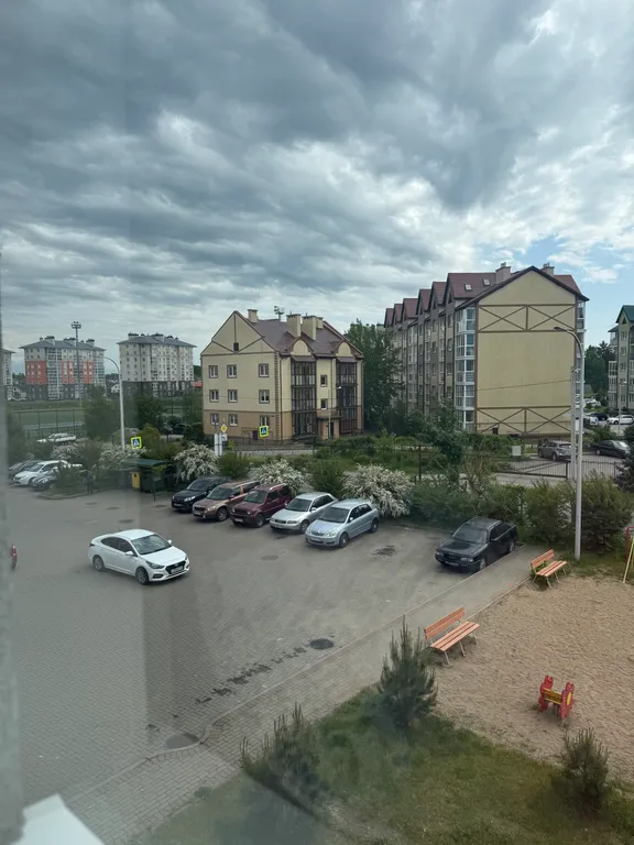 Квартира Светлая и уютная квартира у моря — Светлогорск