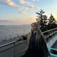 Маргарита