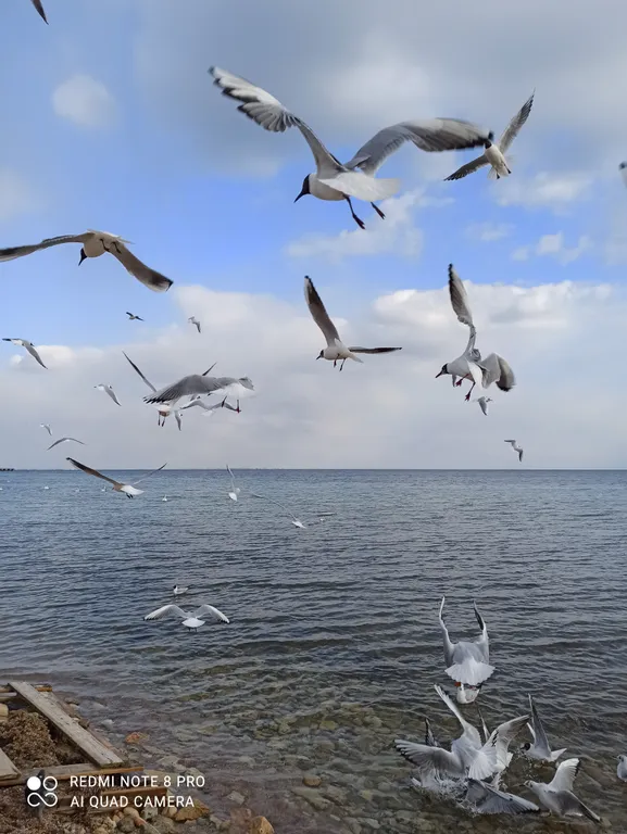 Апартаменты с видом на море