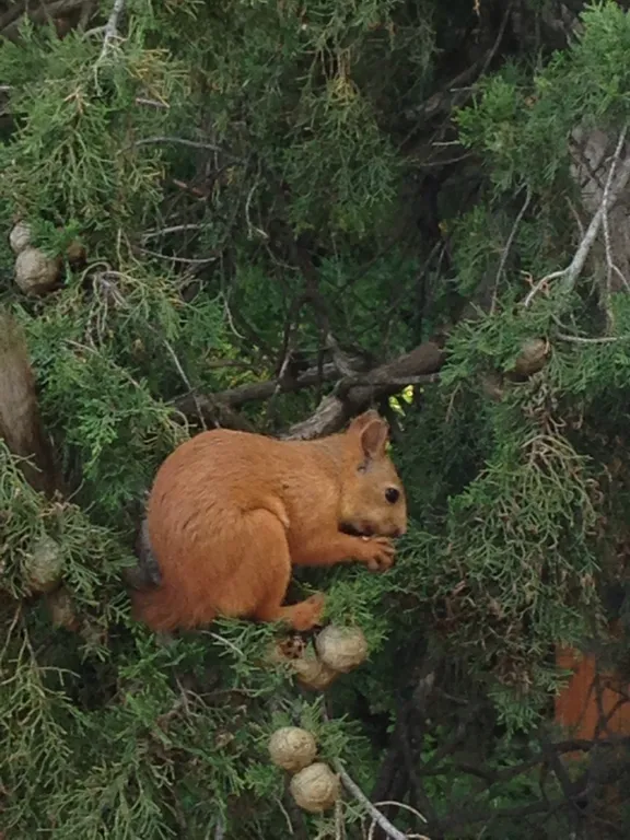 Верхний этаж дома с панорамным видом на море