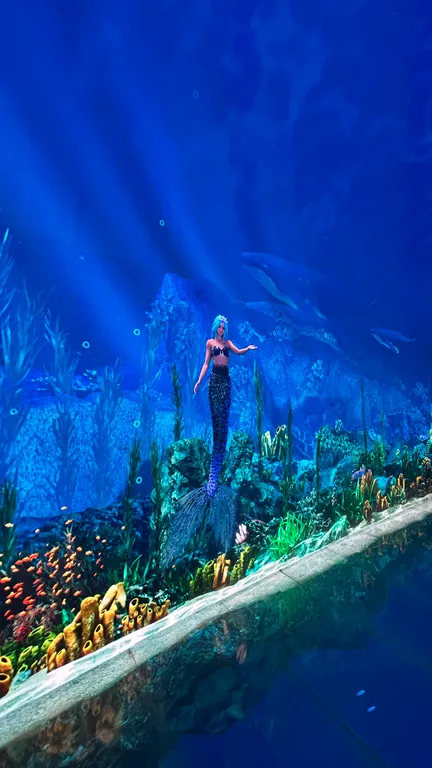 Квартира у парка Галицкого