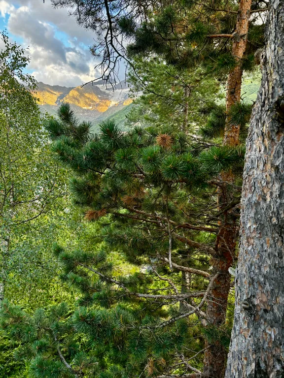 Уютный дом в стиле A-frame