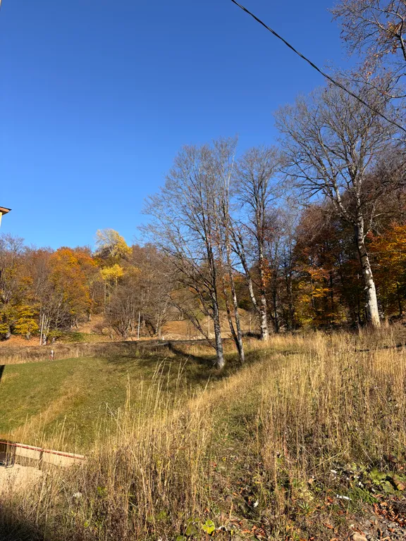 Irmas room Bakuriani