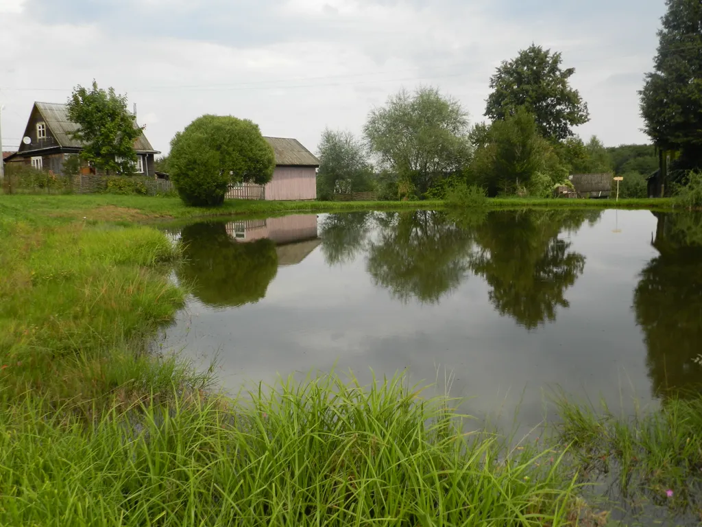 Крестьянская усадьба в Плотихино