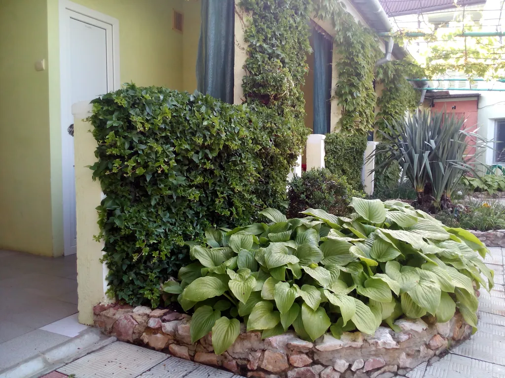 Квартира Комната — аренда посуточно в Севастополь