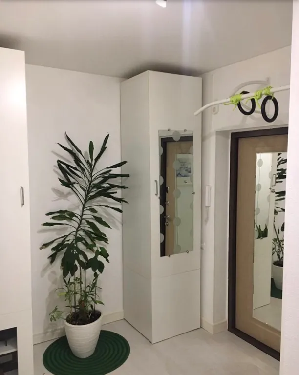 Квартира у леса