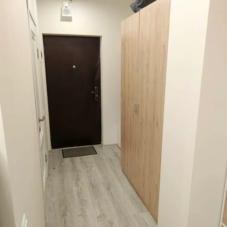 Свободная студия