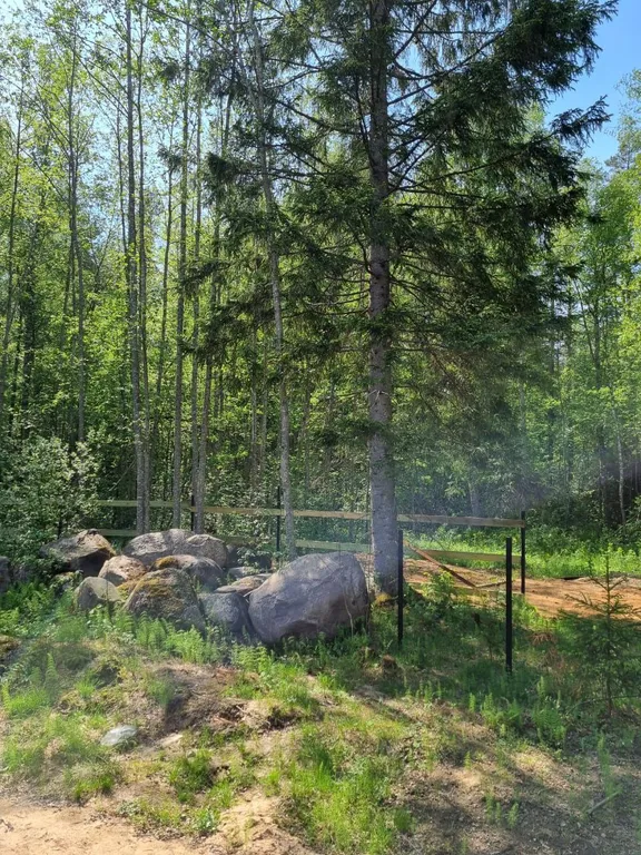 База отдыха У Красного озера