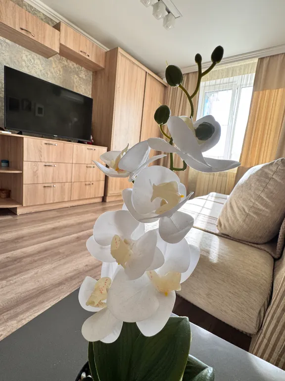 Уютная квартира в центре города, рядом с трассой М4