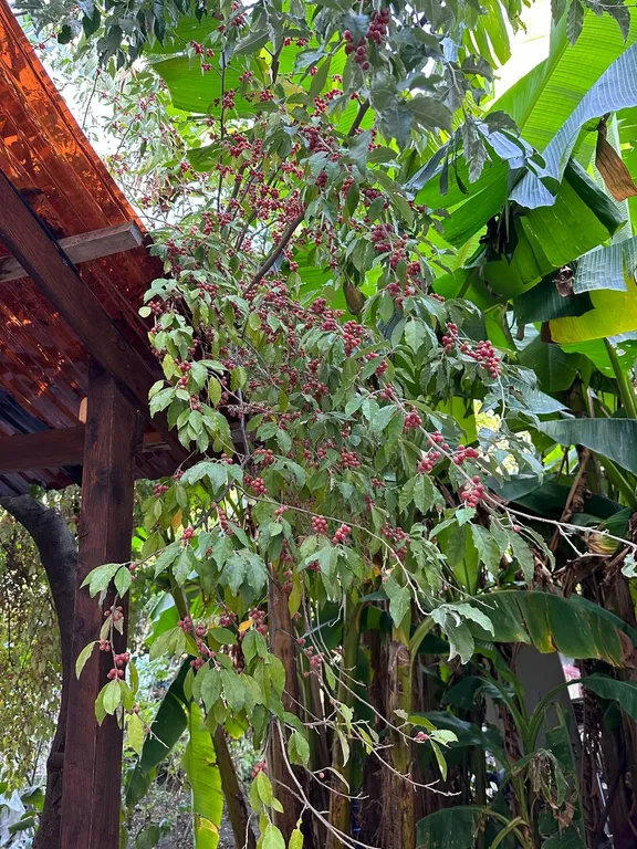 Квартира Квартира Частный сектор на берегу моря — Сириус