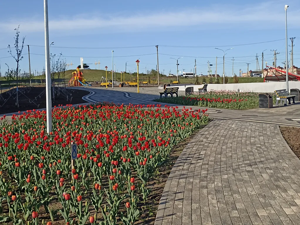 Квартира Уютная, чистая квартира возле парка и спортивных комплексов — Элиста