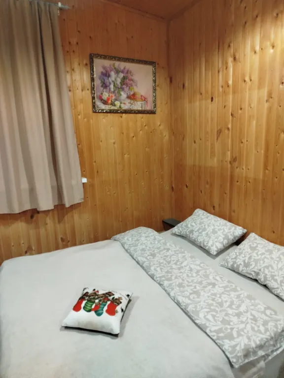 Уютный домик в Дворцовом селе