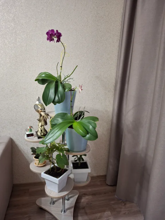 Уютная квартира в самом центре города напротив места основания города