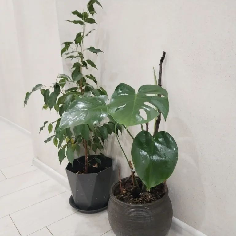 Квартира Квартира на Лаврова, М4-Дон, аэропорт — Краснодар