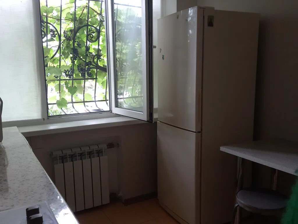 Уютная квартира  в центре города на набережной реки Терек