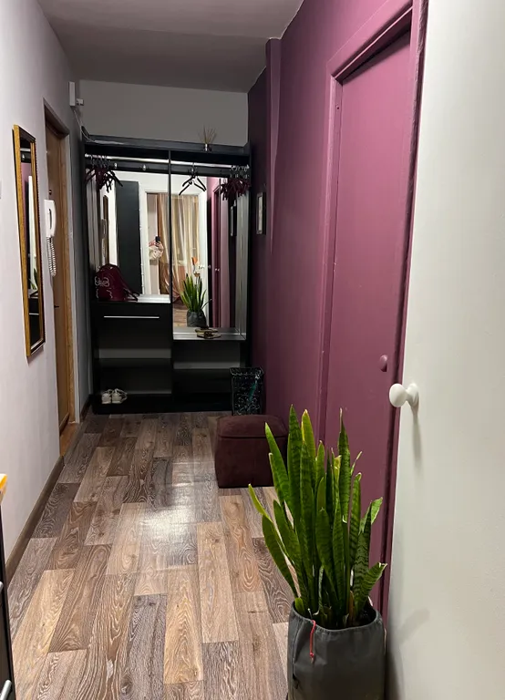 Квартира с восхитительным видом на бухту и Золотой мост