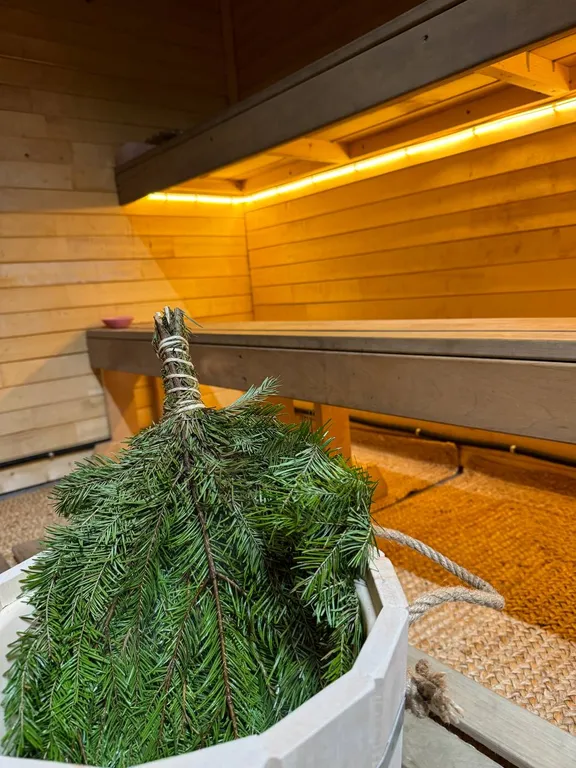 Дом с купелью и сауной, костровой зоной, мангалом и качелями