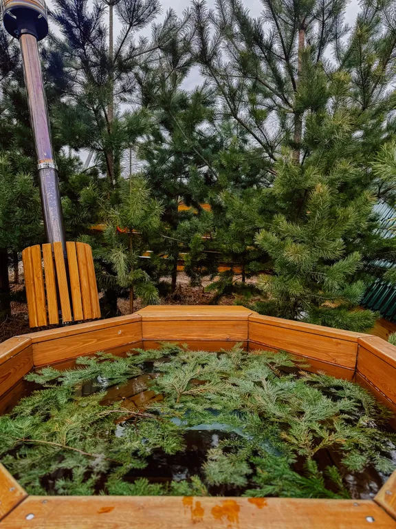 Уютный домик с чаном и баней в сосновом лесу