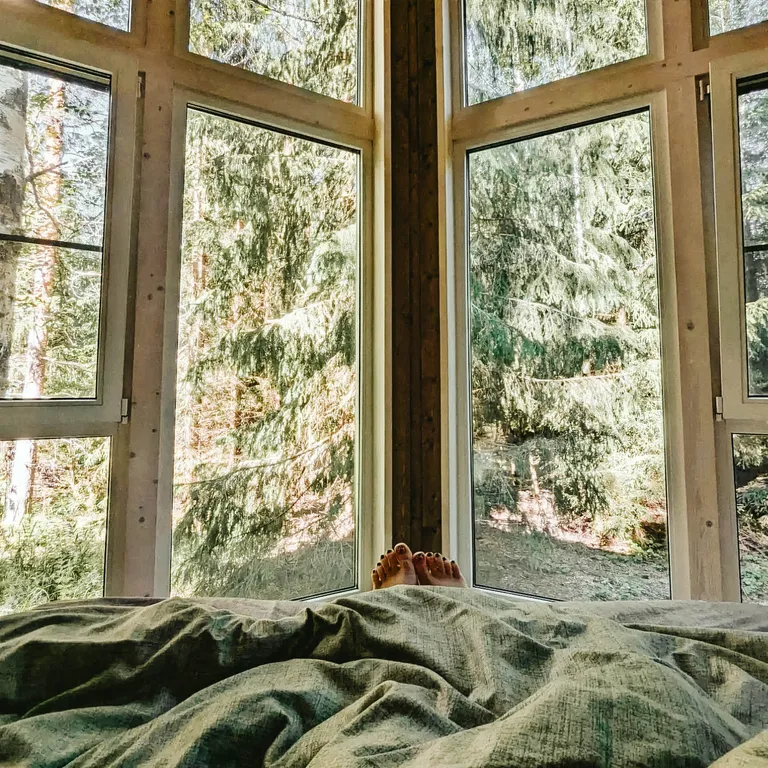 Уютный дом в лесу