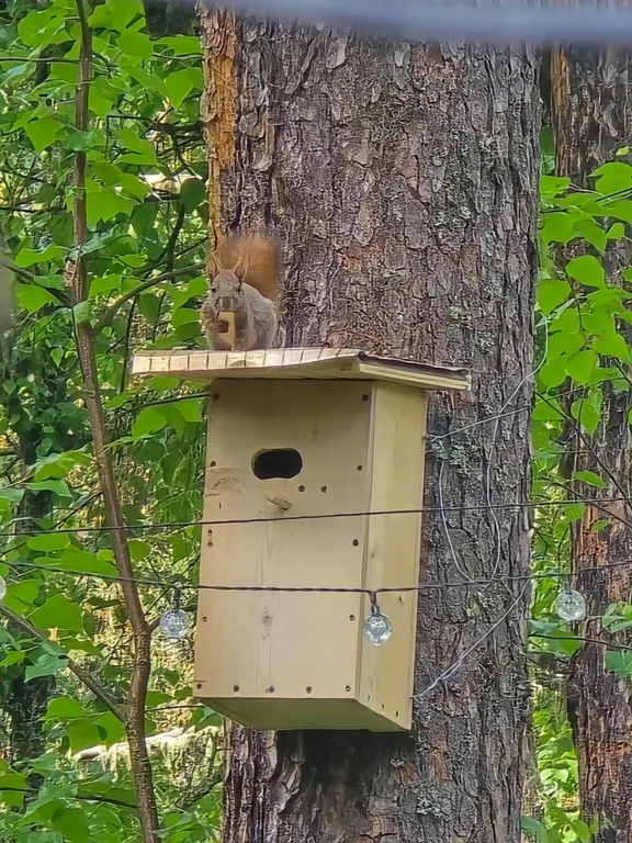 Коттедж Коттедж Лес хрустальной песни — Архыз