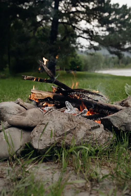 Дом с видовой террасой на берегу Катуни