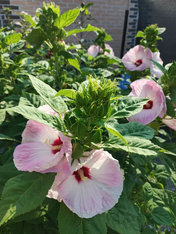 Уютное жилье со всеми удобствами возле моря
