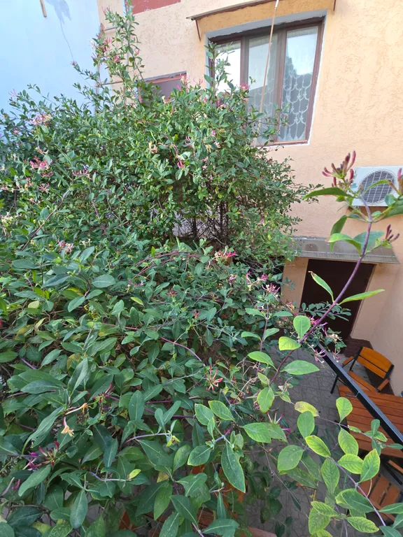 Комната рядом с морем