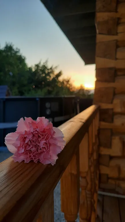 Загородный коттедж из сруба с баней, чаном, купелью и мангальной зоной