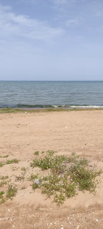 Домик у моря