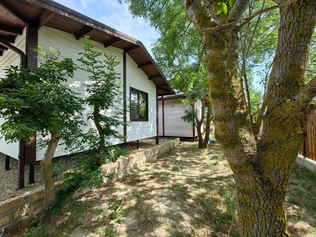 Коттедж Дом Кот и мёд — Южная Озереевка