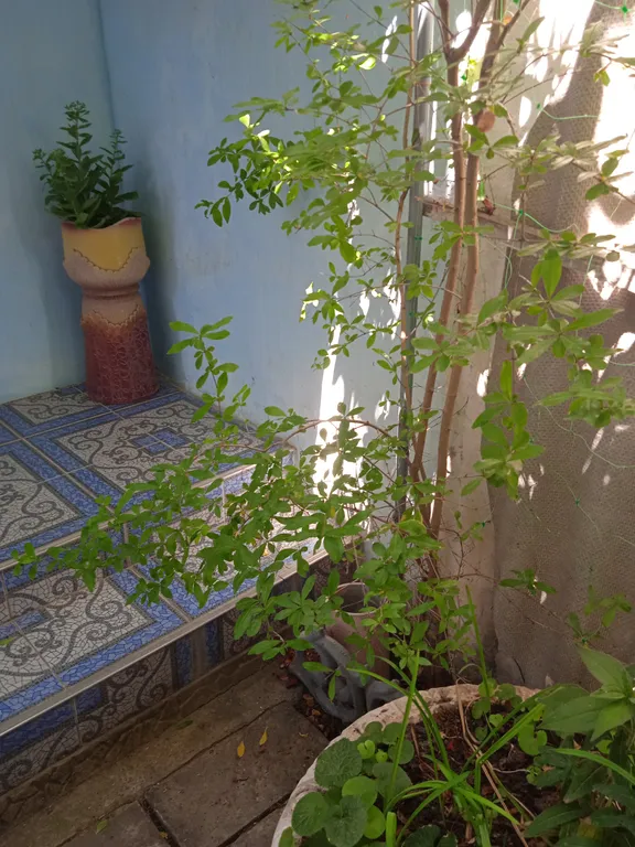 Уютный дворик вблизи моря