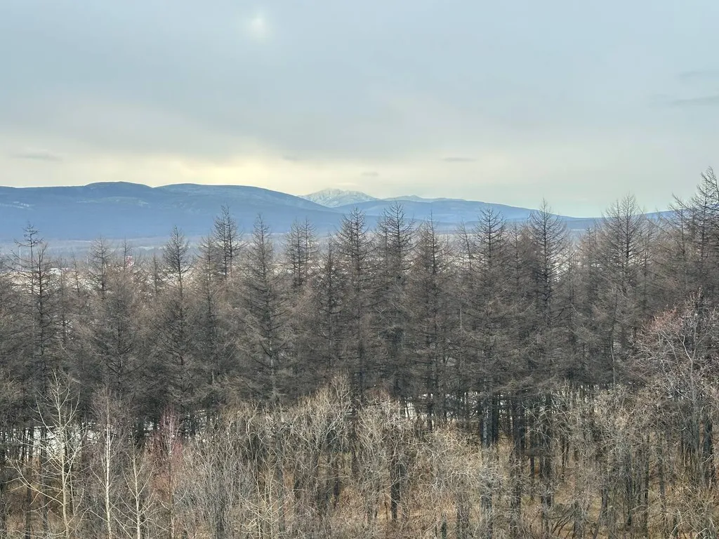 Двухкомнатная квартира рядом с аэропортом Магадан