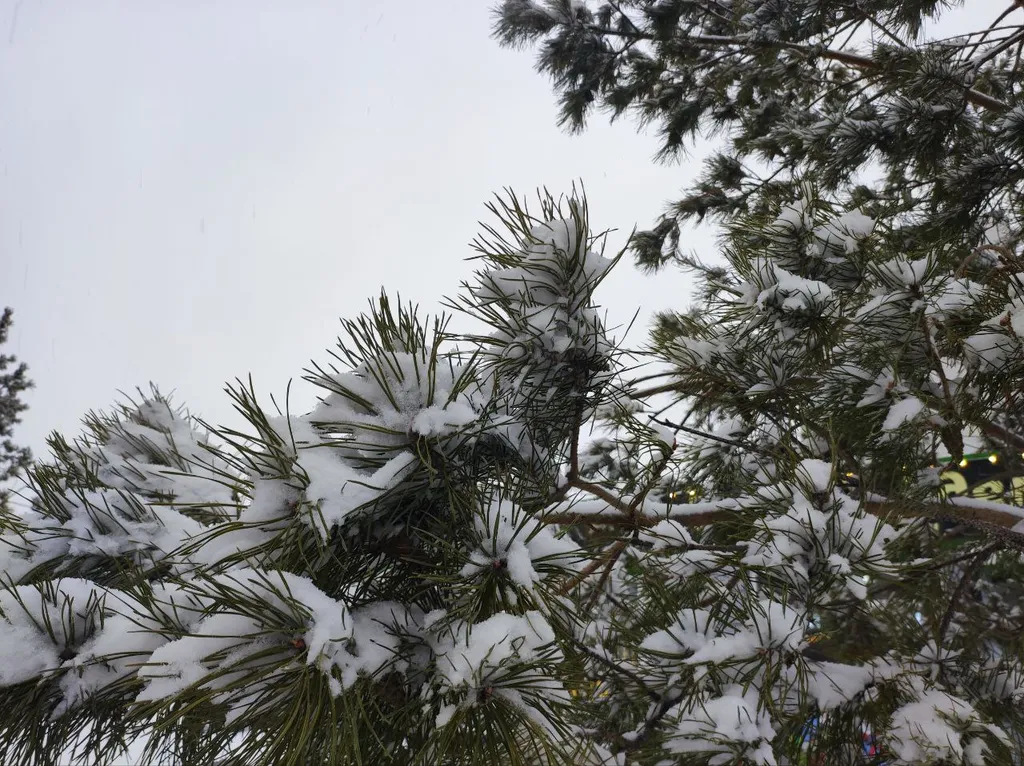 Уютная солнечная студия + спальня в 5 минутах пешком до Термы Вода