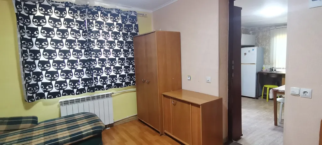 Однокомнатная квартира в частном доме