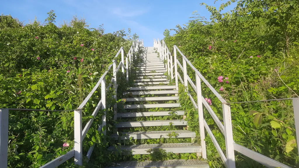 Квартира с видом на море