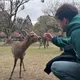 Рафаэль