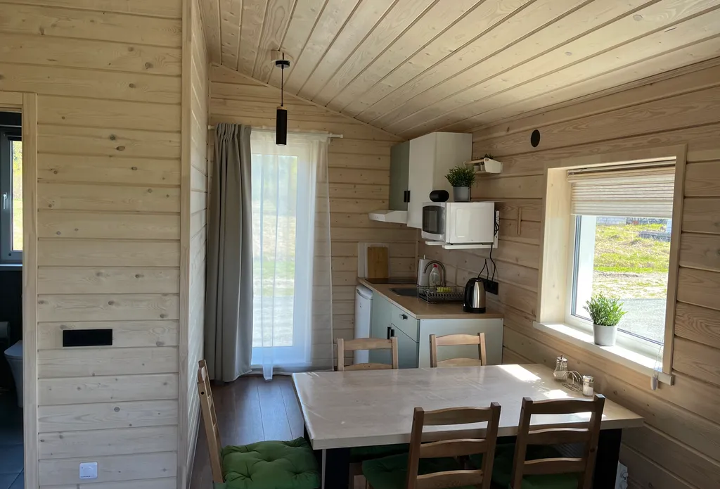 Карельский скандидомик с сауной