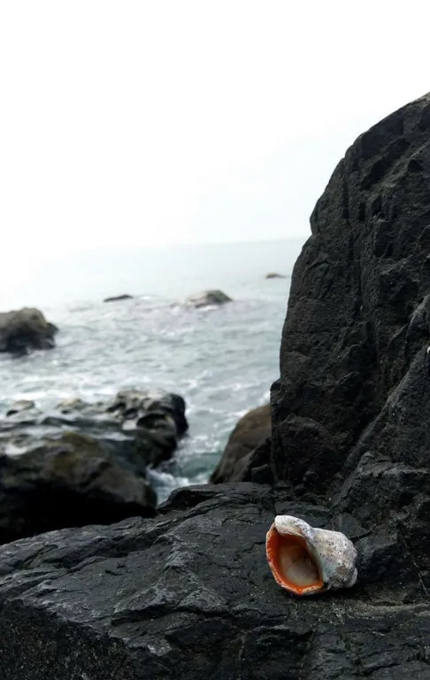 Светлая и уютная квартира с 3 комнатами, 7 минут от моря