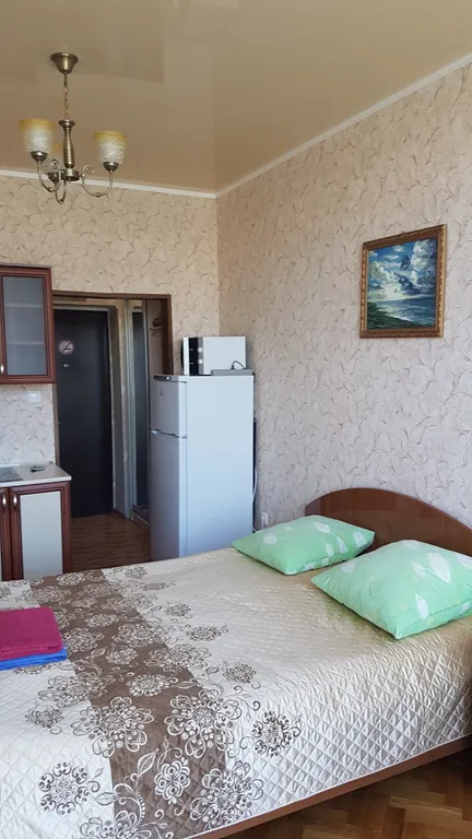 Квартира 1-комнатная Квартира — Сочи