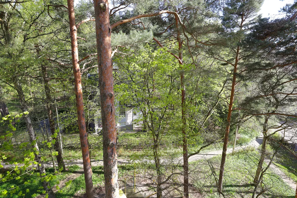 Апартаменты в 2 уровня в Центре Светлогорска