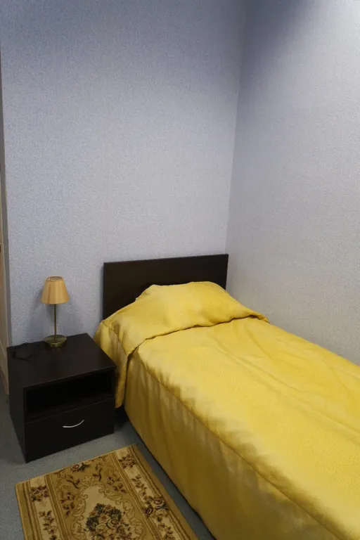 Квартира Комната — аренда посуточно в Пермь