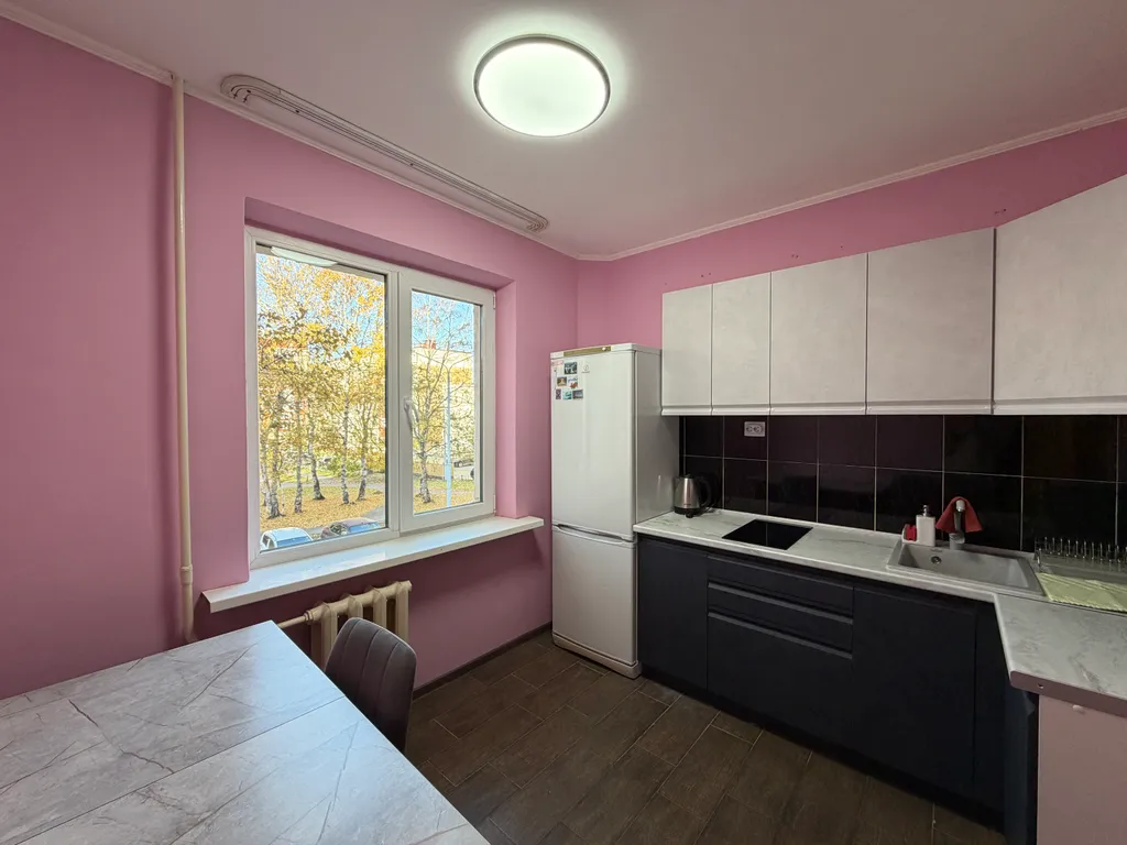 Однокомнатная квартира со всем необходимым у Аиста