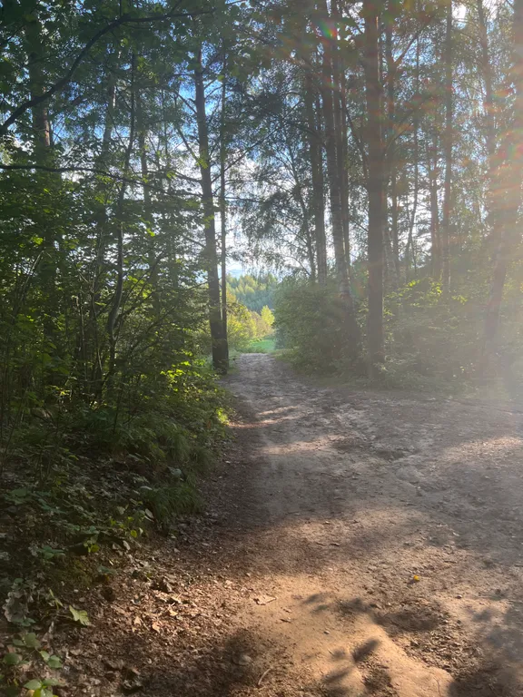 Загородный уютный дом для семейного отдыха
