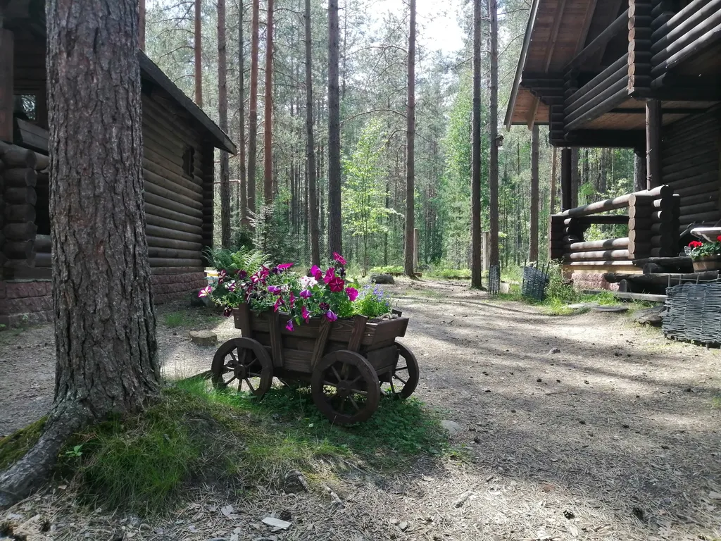 Дом Викинга